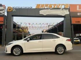 Toyota Corolla (XII), 2020