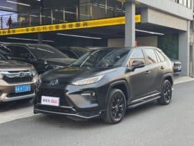 Toyota Wildlander, 2020