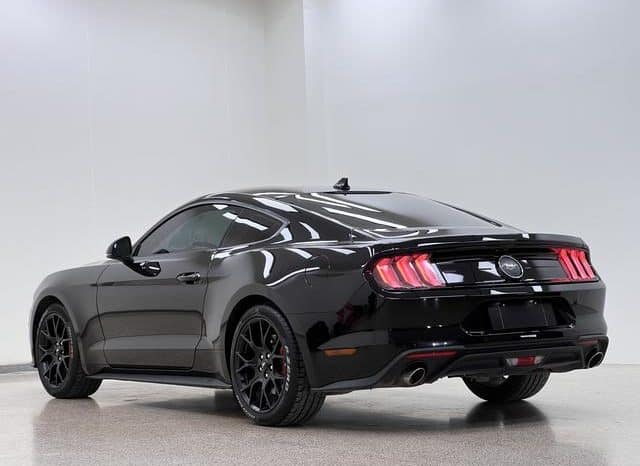 
								Ford Mustang (VI), 2023 full									