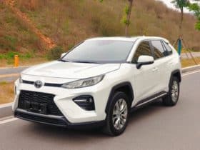 Toyota Wildlander, 2022