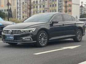 Volkswagen Magotan, 2020