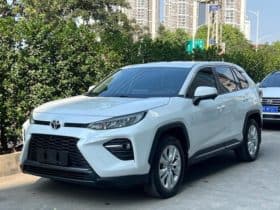 Toyota Wildlander, 2021