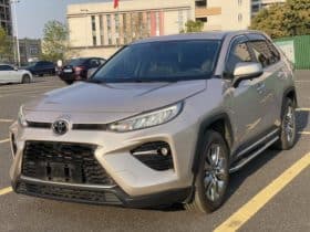 Toyota Wildlander, 2021