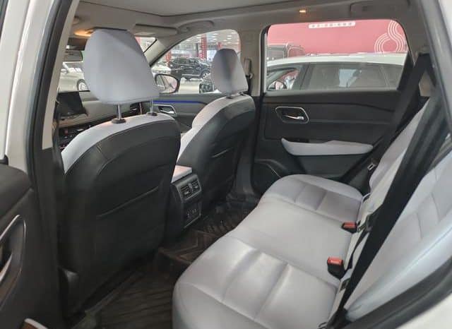 
								Nissan X-Trail (III), 2023 full									