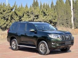 
										Toyota Prado, 2020 full									