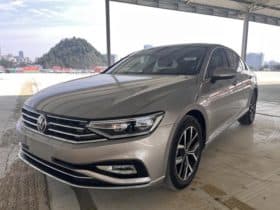 Volkswagen Magotan, 2021