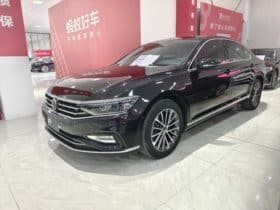 Volkswagen Magotan, 2021