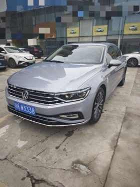 Volkswagen Magotan, 2020