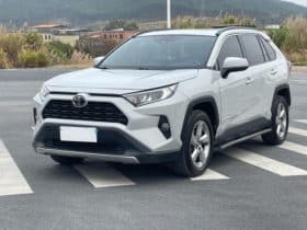 Toyota RAV4 (IV), 2020