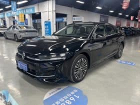 Volkswagen Magotan, 2024