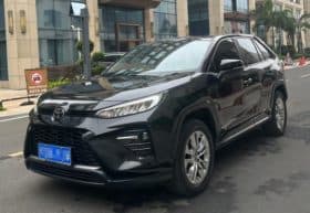 Toyota Wildlander, 2021