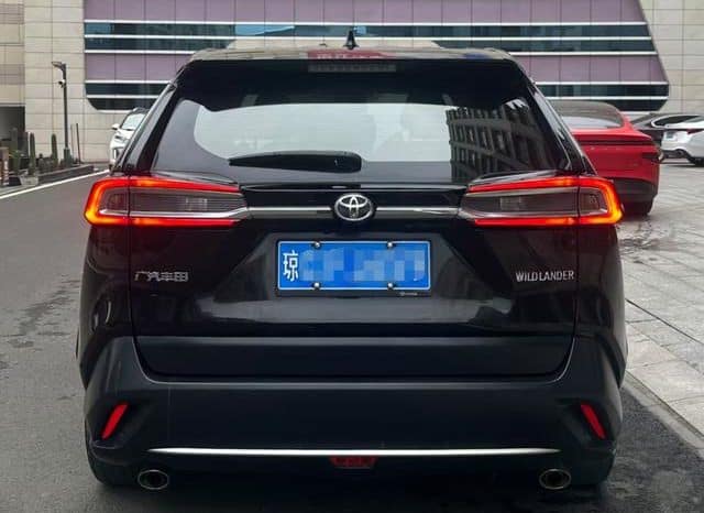 
								Toyota Wildlander, 2021 full									