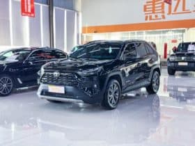 Toyota RAV4 (IV), 2024