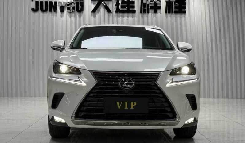 
								Lexus NX200, 2020 full									