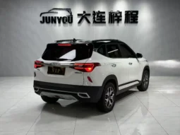 
										Kia Seltos, 2022 full									