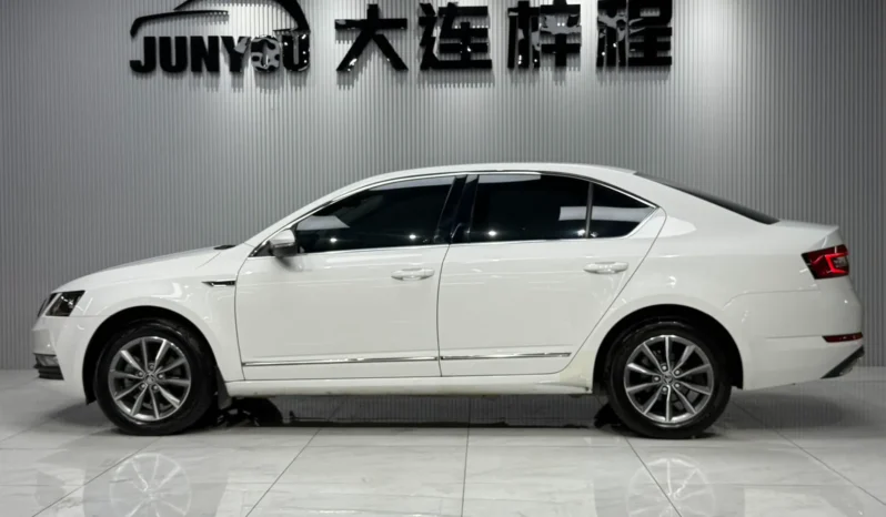 
								Skoda Octavia, 2020 (октябрь) full									