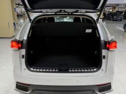 
										Lexus NX200, 2020 full									