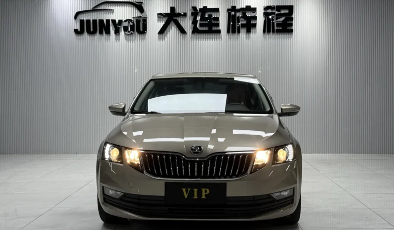 IMG 1488 Skoda Octavia, 2020.09
