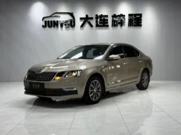 
										Skoda Octavia, 2020.09 full									